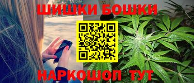 гидра Новозыбков