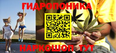 гидра Новозыбков